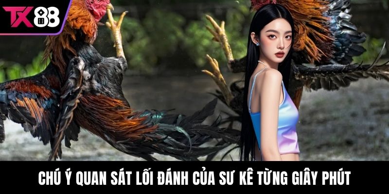 Chú ý quan sát lối đánh của sư kê từng giây phút