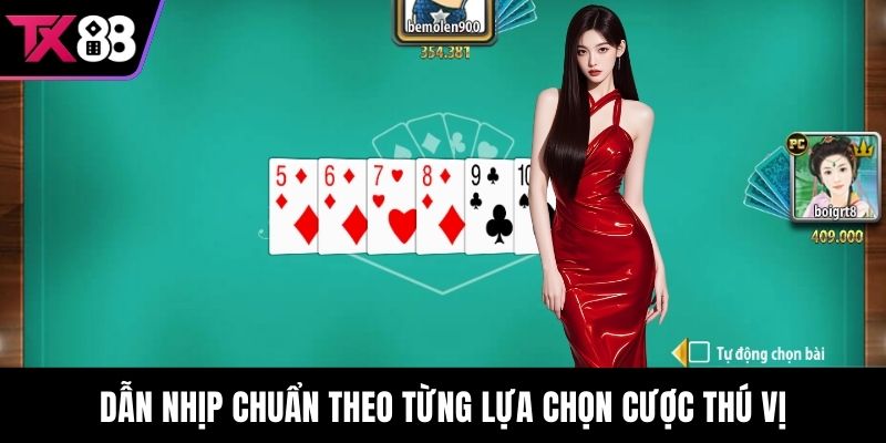 Dẫn nhịp chuẩn theo từng lựa chọn cược thú vị