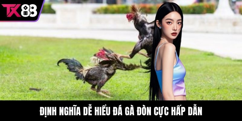 Định nghĩa dễ hiểu Đá gà đòn cực hấp dẫn