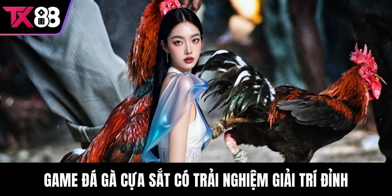 Game đá gà cựa sắt có trải nghiệm giải trí đỉnh