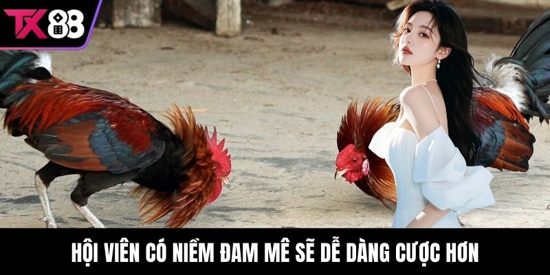 Hội viên có niềm đam mê sẽ dễ dàng cược hơn