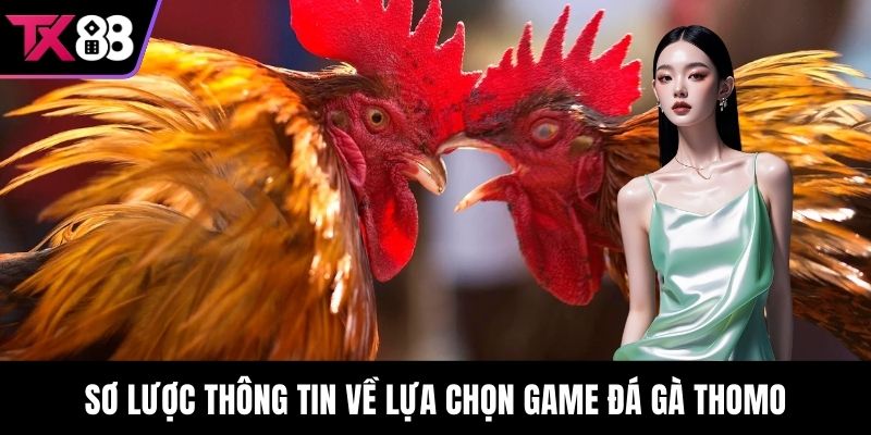 Sơ lược thông tin về lựa chọn game Đá gà Thomo