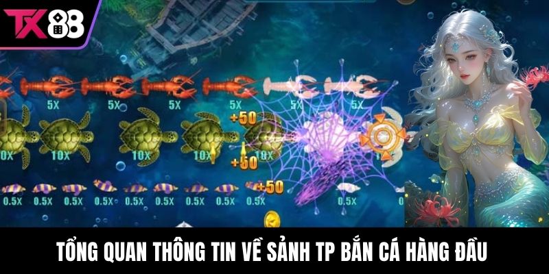 Tổng quan thông tin về sảnh TP Bắn cá hàng đầu 
